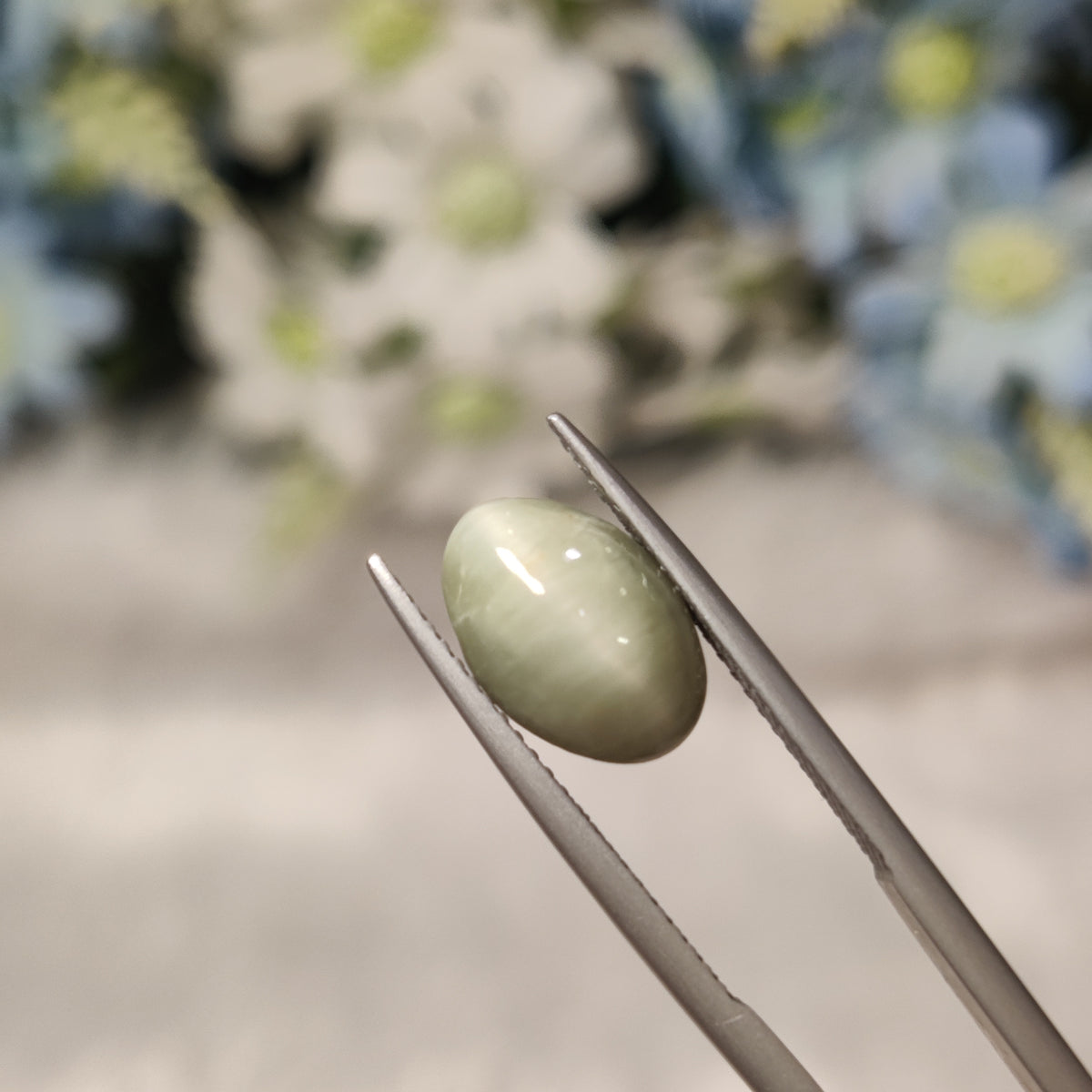 Natural Cats Eye (Lehsunia) | CE 9 | 4.87 Carat | Certified