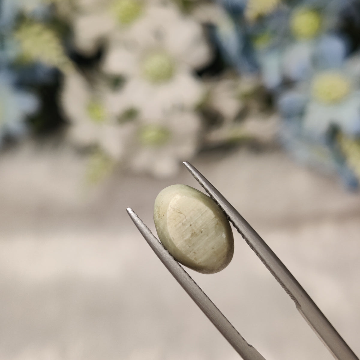 Natural Cats Eye (Lehsunia) | CE 9 | 4.87 Carat | Certified