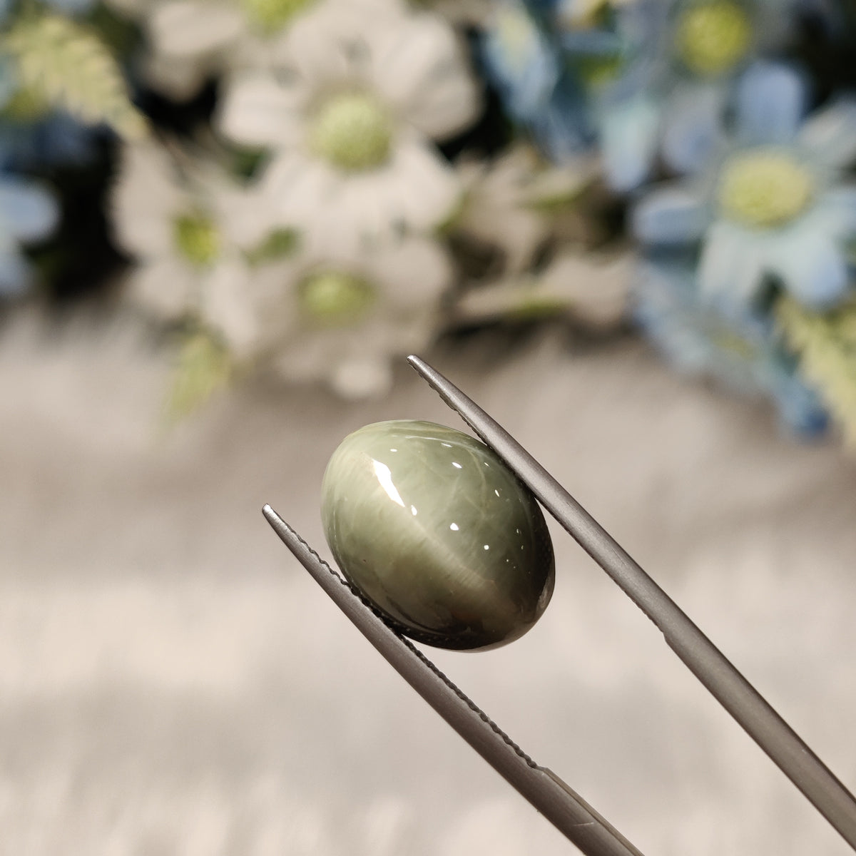 Natural Cats Eye (Lehsunia) | CE 31 | 9.71 Carat | Certified