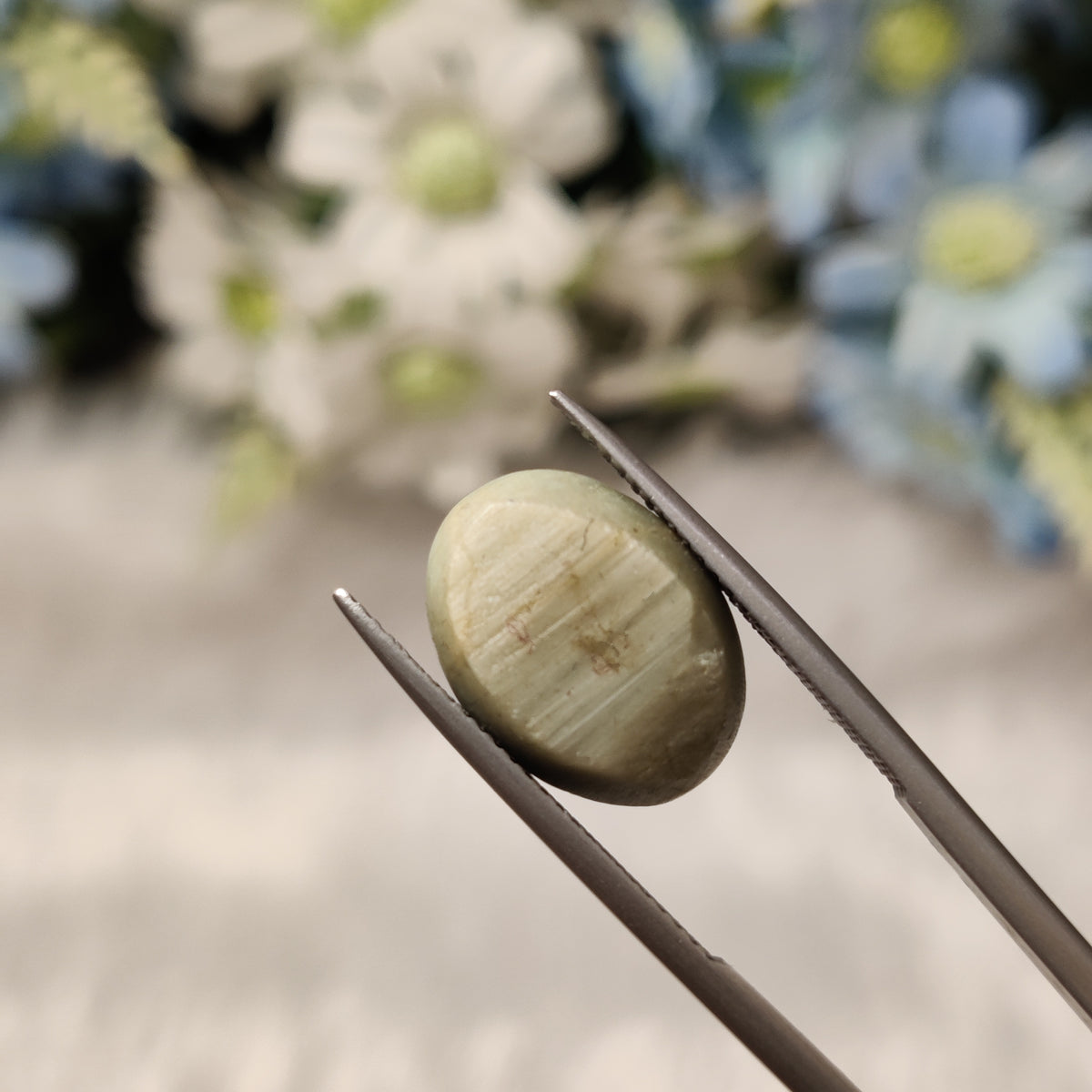 Natural Cats Eye (Lehsunia) | CE 31 | 9.71 Carat | Certified