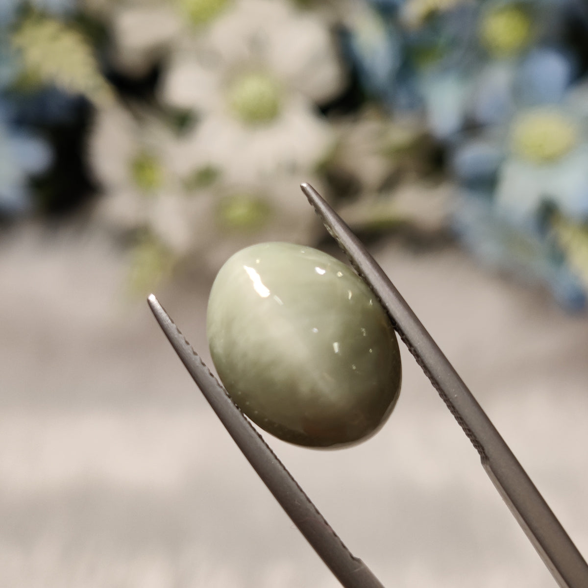 Natural Cats Eye (Lehsunia) | CE 39 | 10.19 Carat | Certified