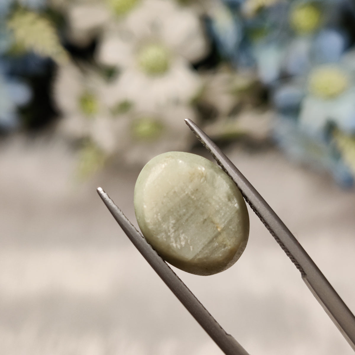 Natural Cats Eye (Lehsunia) | CE 39 | 10.19 Carat | Certified