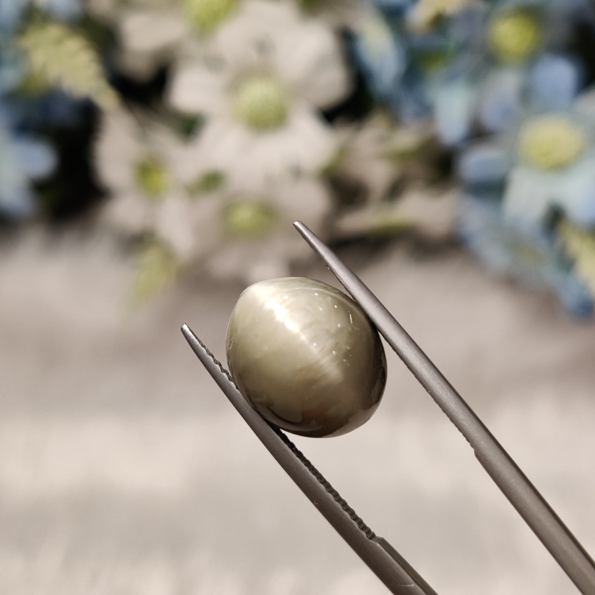 Natural Cats Eye (Lehsunia) | CE 70 | 9.05 Carat | Certified