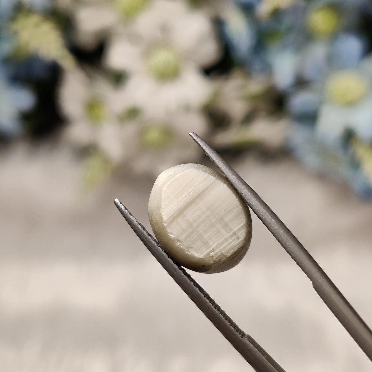 Natural Cats Eye (Lehsunia) | CE 70 | 9.05 Carat | Certified