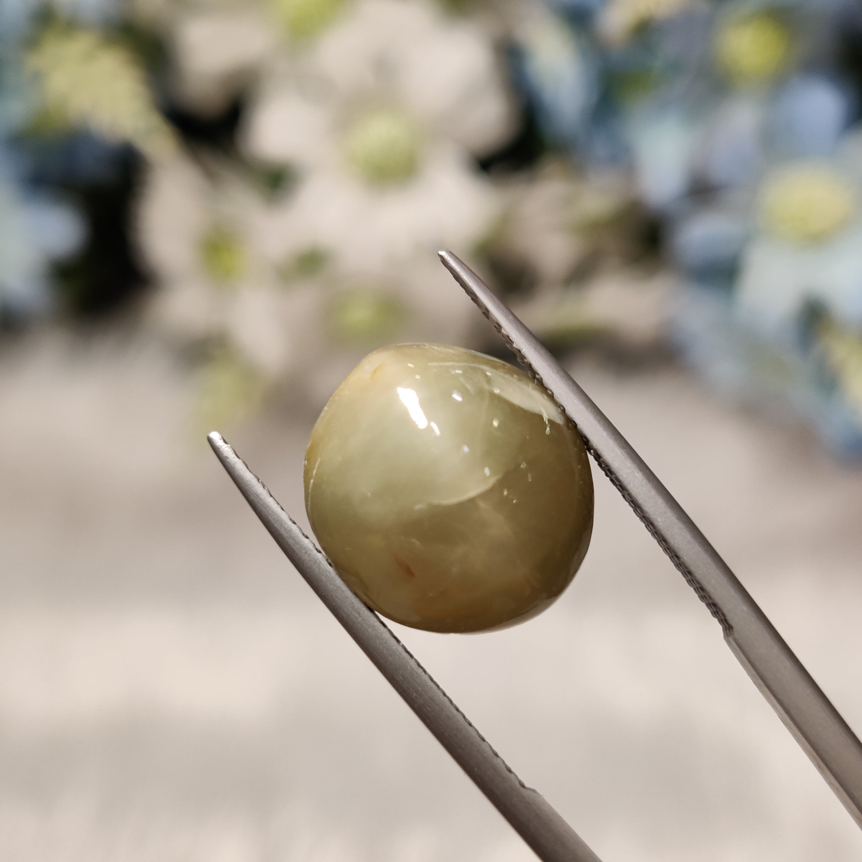Cats Eye | CE 88 | 9.37 Carat