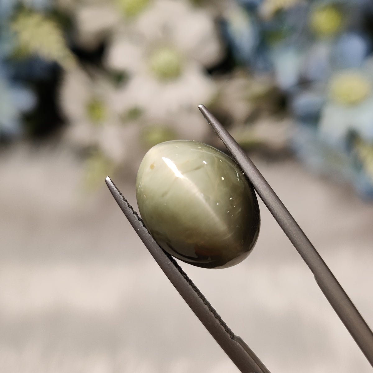 Natural Cats Eye (Lehsunia) | CE 42 | 10.03 Carat | Certified
