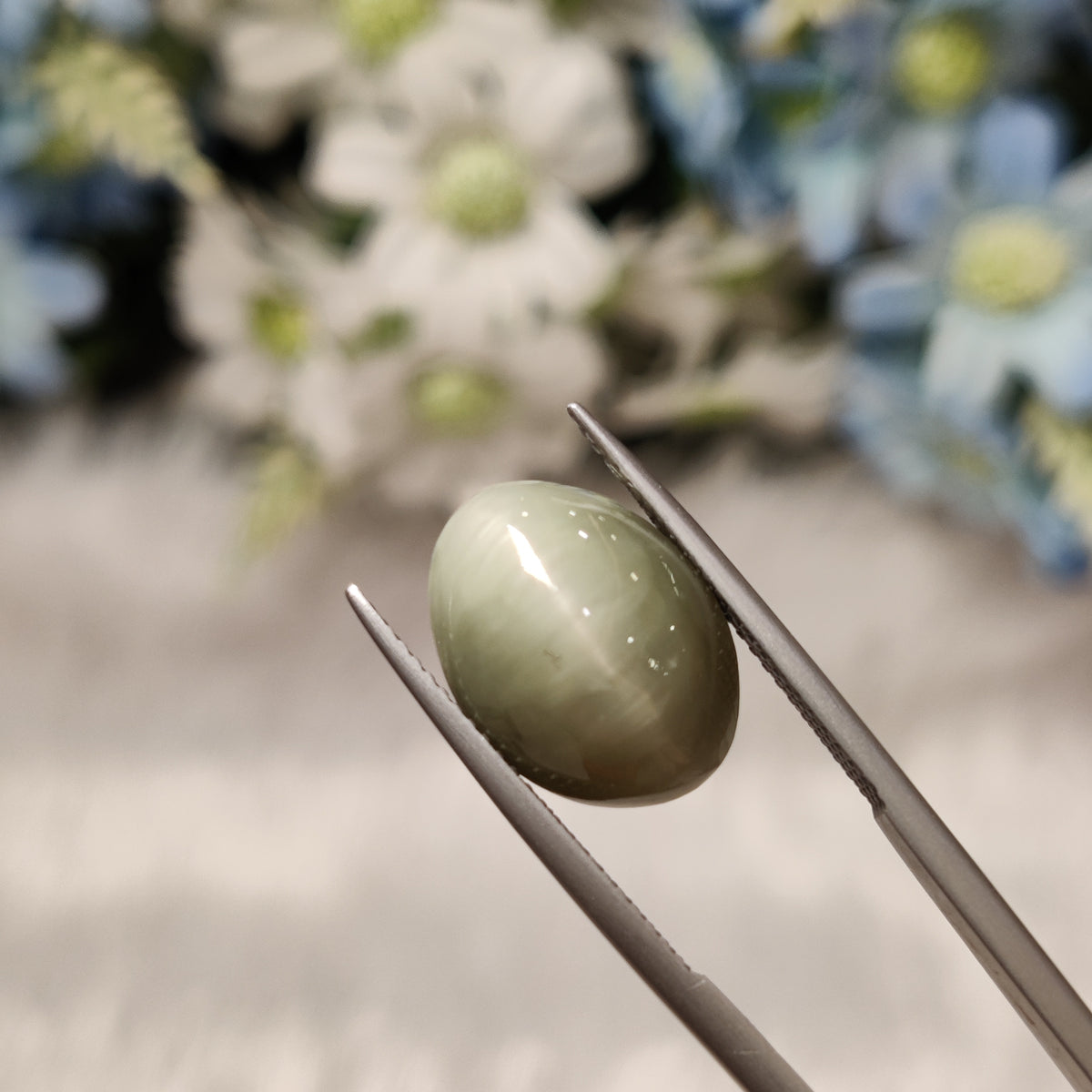 Natural Cats Eye (Lehsunia) | CE 40 | 10.41 Carat | Certified