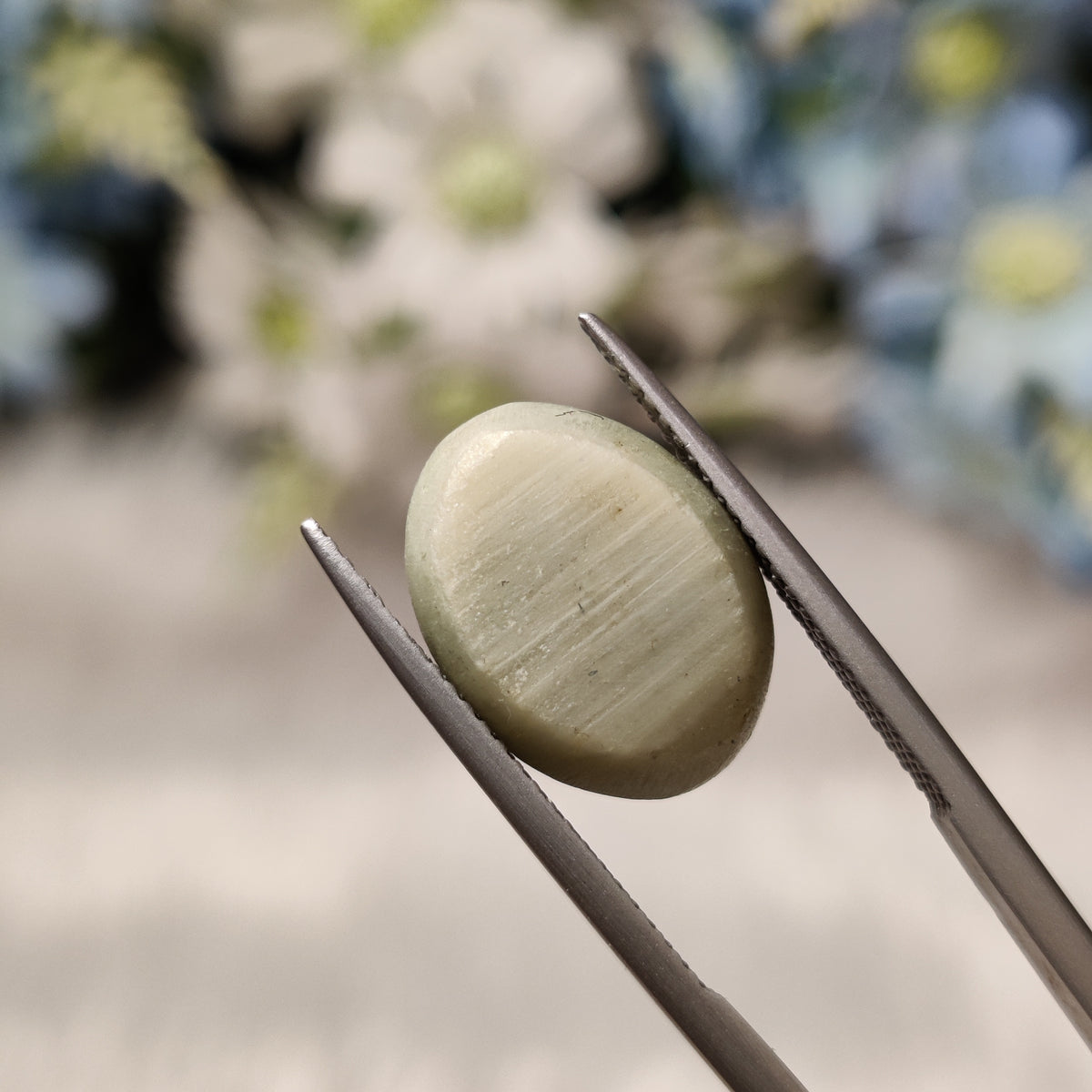Natural Cats Eye (Lehsunia) | CE 40 | 10.41 Carat | Certified