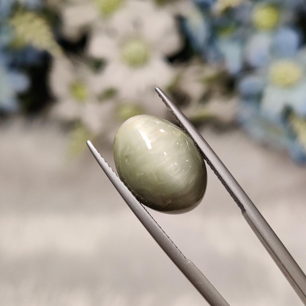 Natural Cats Eye (Lehsunia) | CE 8 | 10.22 Carat | Certified