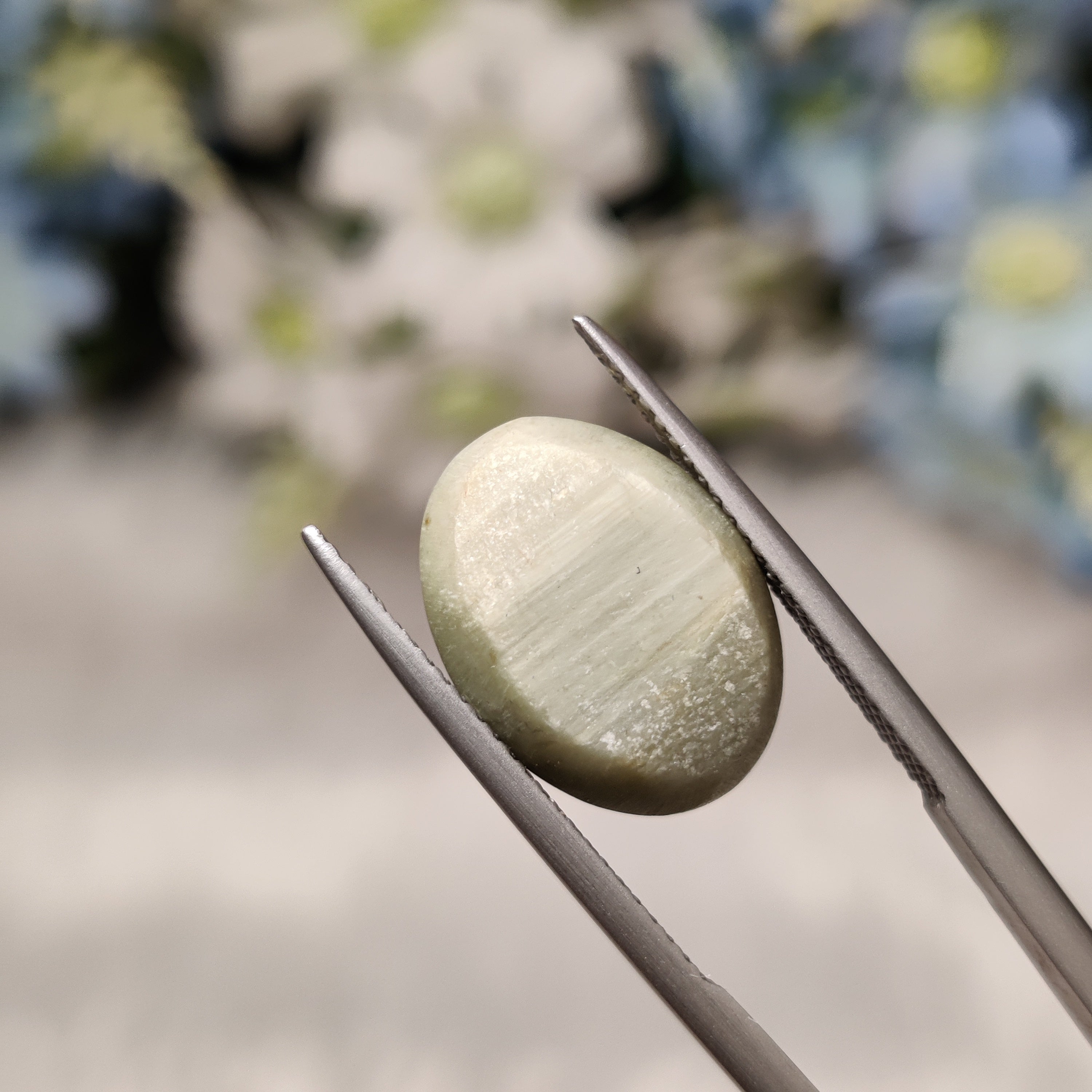 Cats Eye | CE 8 | 10.22 Carat