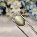 Cats Eye | CE 56 | 10.42 Carat