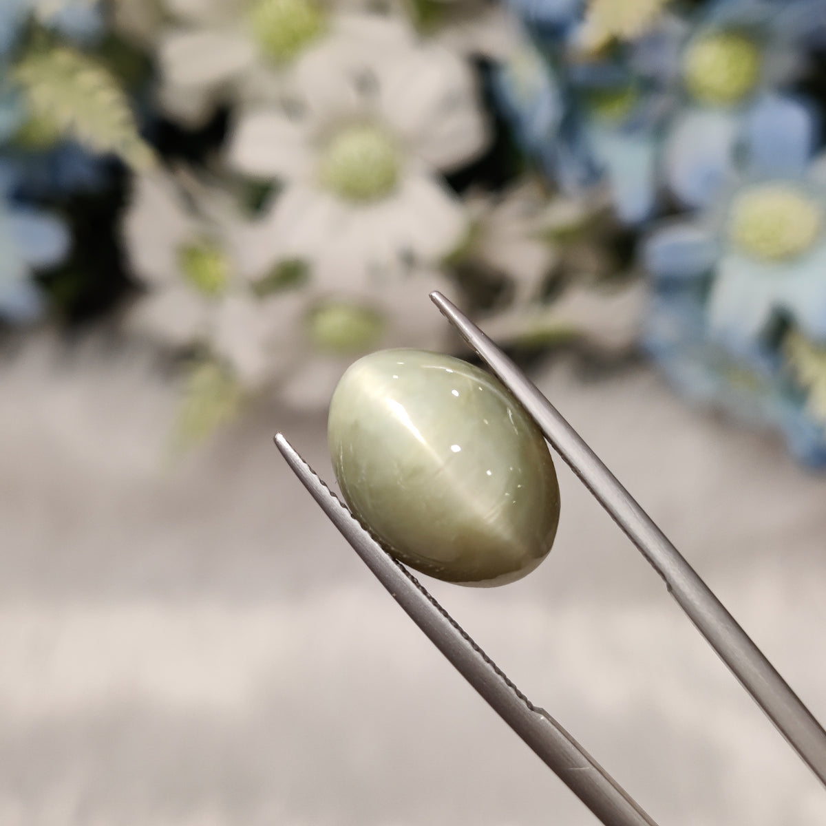 Natural Cats Eye (Lehsunia) | CE 56 | 10.42 Carat | Certified