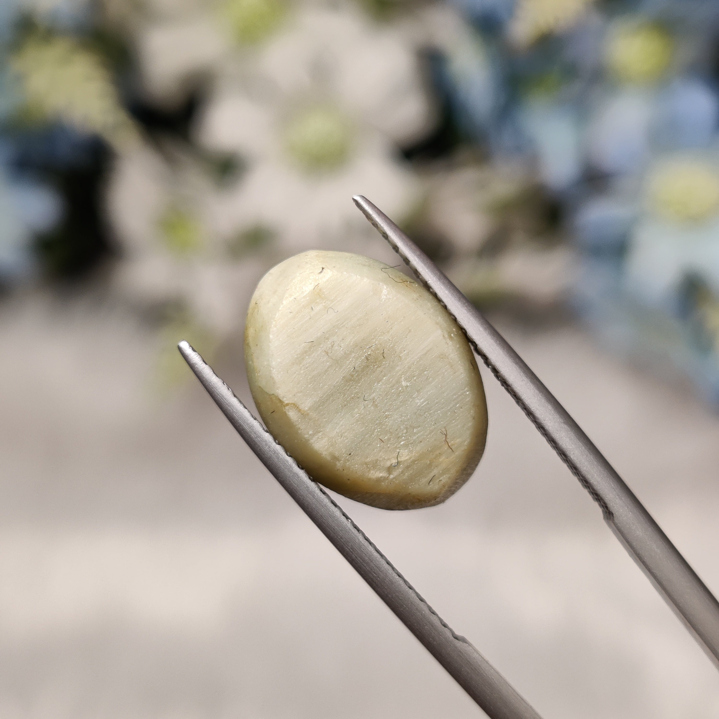 Cats Eye | CE 56 | 10.42 Carat