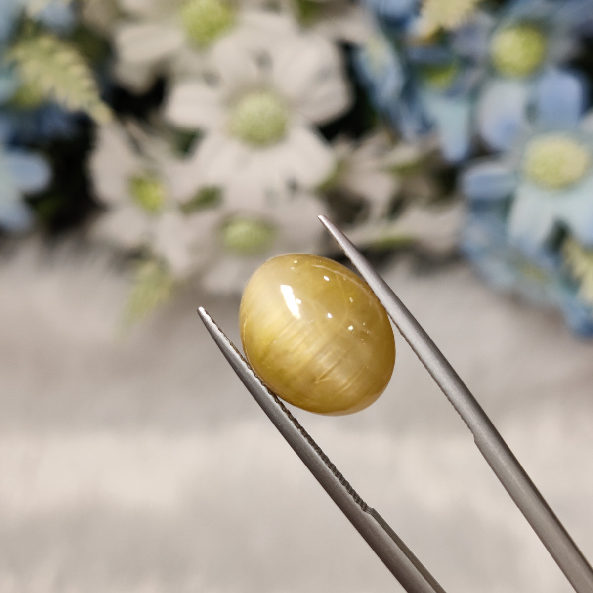 Natural Cats Eye (Lehsunia) | CE 24 | 10.75 Carat | Certified