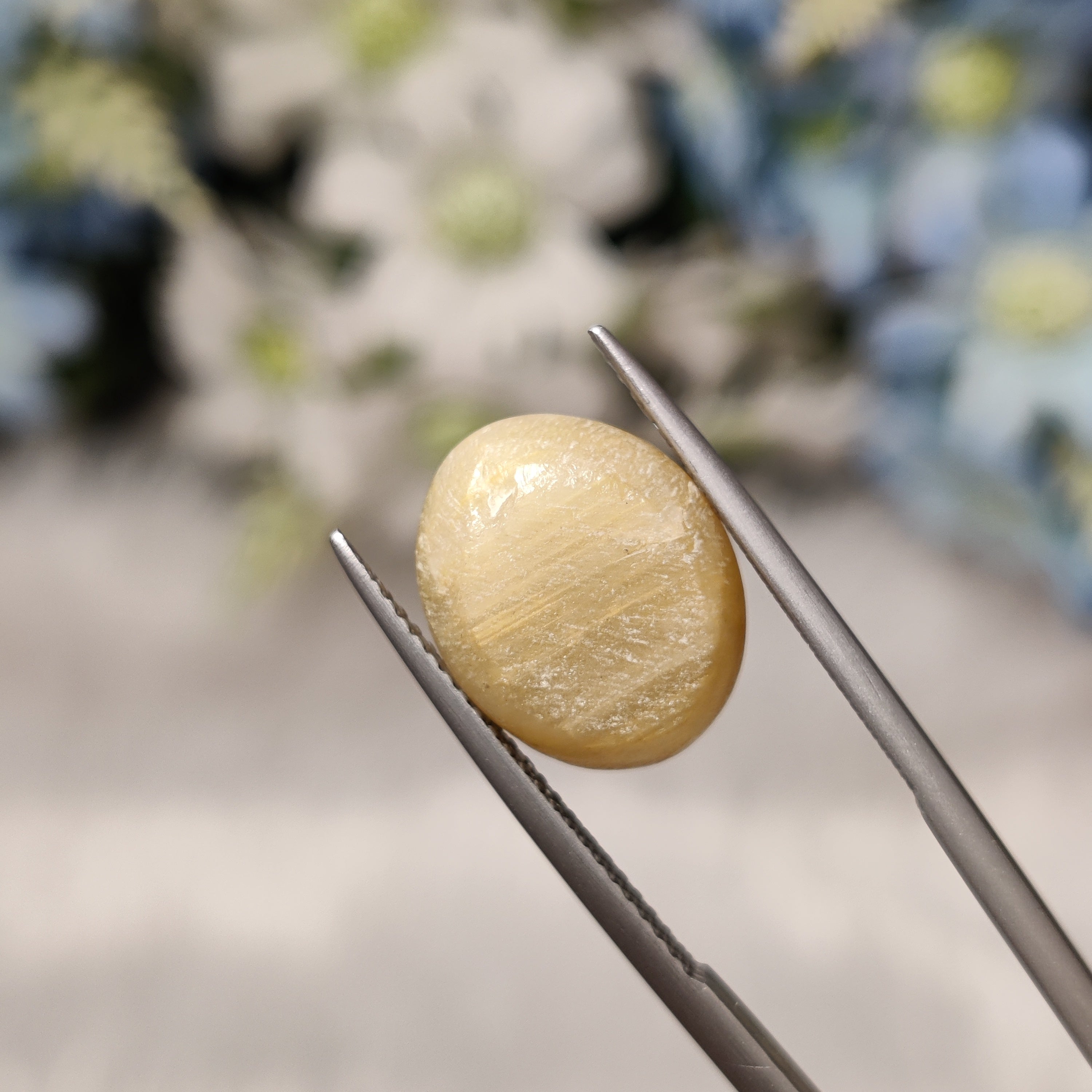 Cats Eye | CE 24 | 10.75 Carat