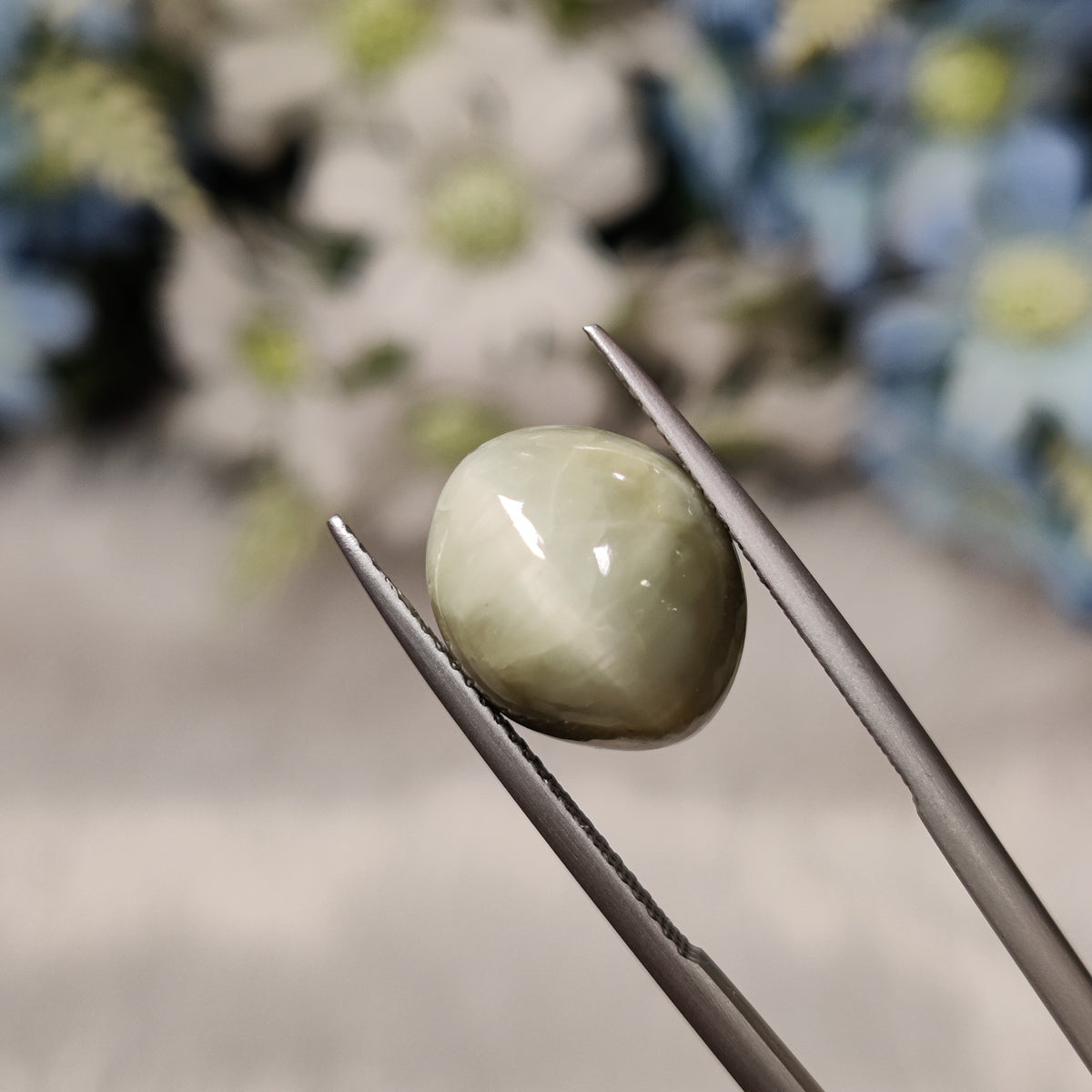Natural Cats Eye (Lehsunia) | CE 58 | 9.48 Carat | Certified
