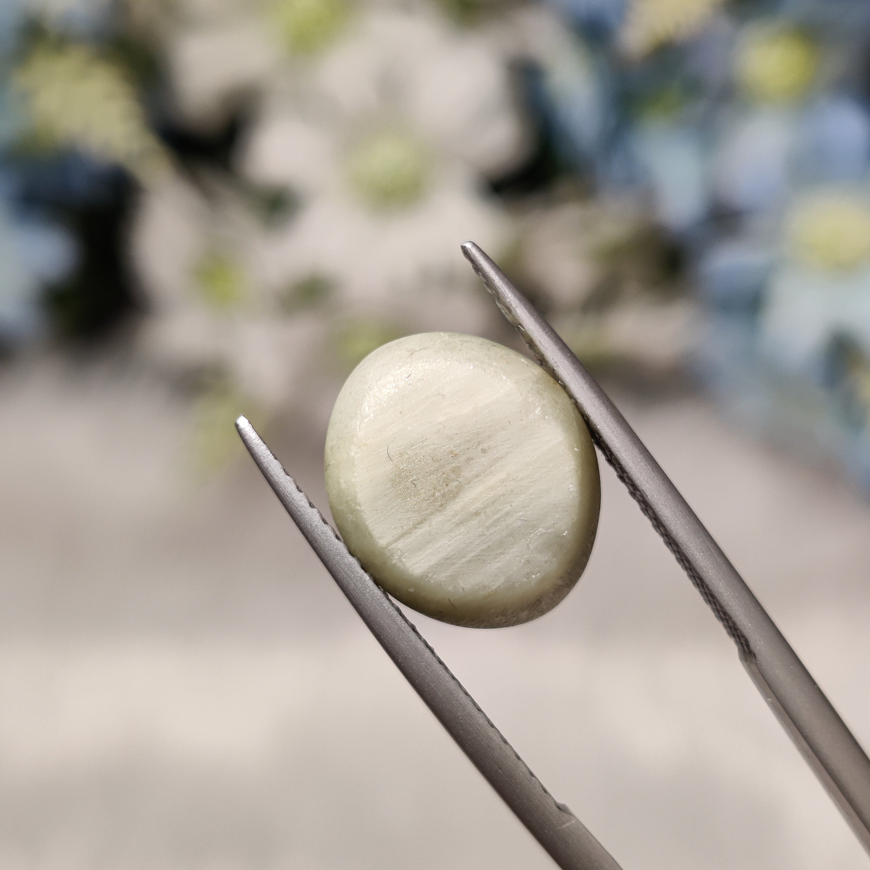 Cats Eye | CE 58 | 9.48 Carat