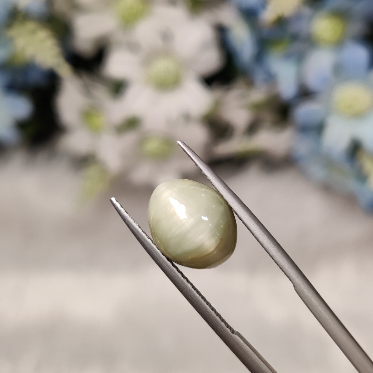 Natural Cats Eye (Lehsunia) | CE 7 | 5.75 Carat | Certified