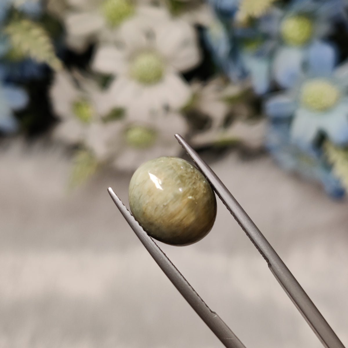 Natural Cats Eye (Lehsunia) | CE 98 | 5.91 Carat | Certified