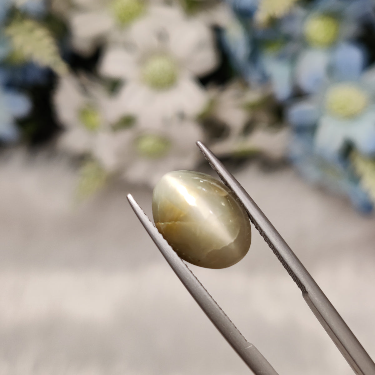 Natural Cats Eye (Lehsunia) | CE 85 | 5.82 Carat | Certified