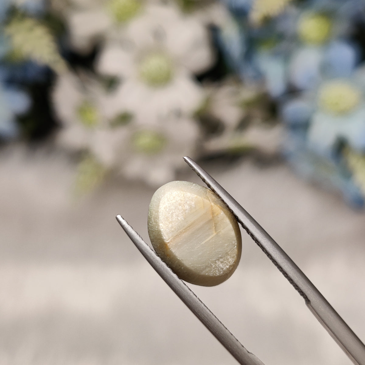 Natural Cats Eye (Lehsunia) | CE 85 | 5.82 Carat | Certified