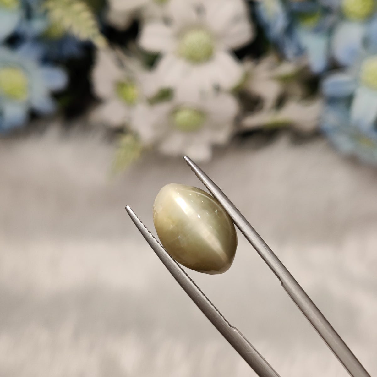 Natural Cats Eye (Lehsunia) | CE 91 | 5.86 Carat | Certified
