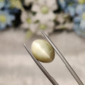 Cats Eye | CE 93 | 6.73 Carat