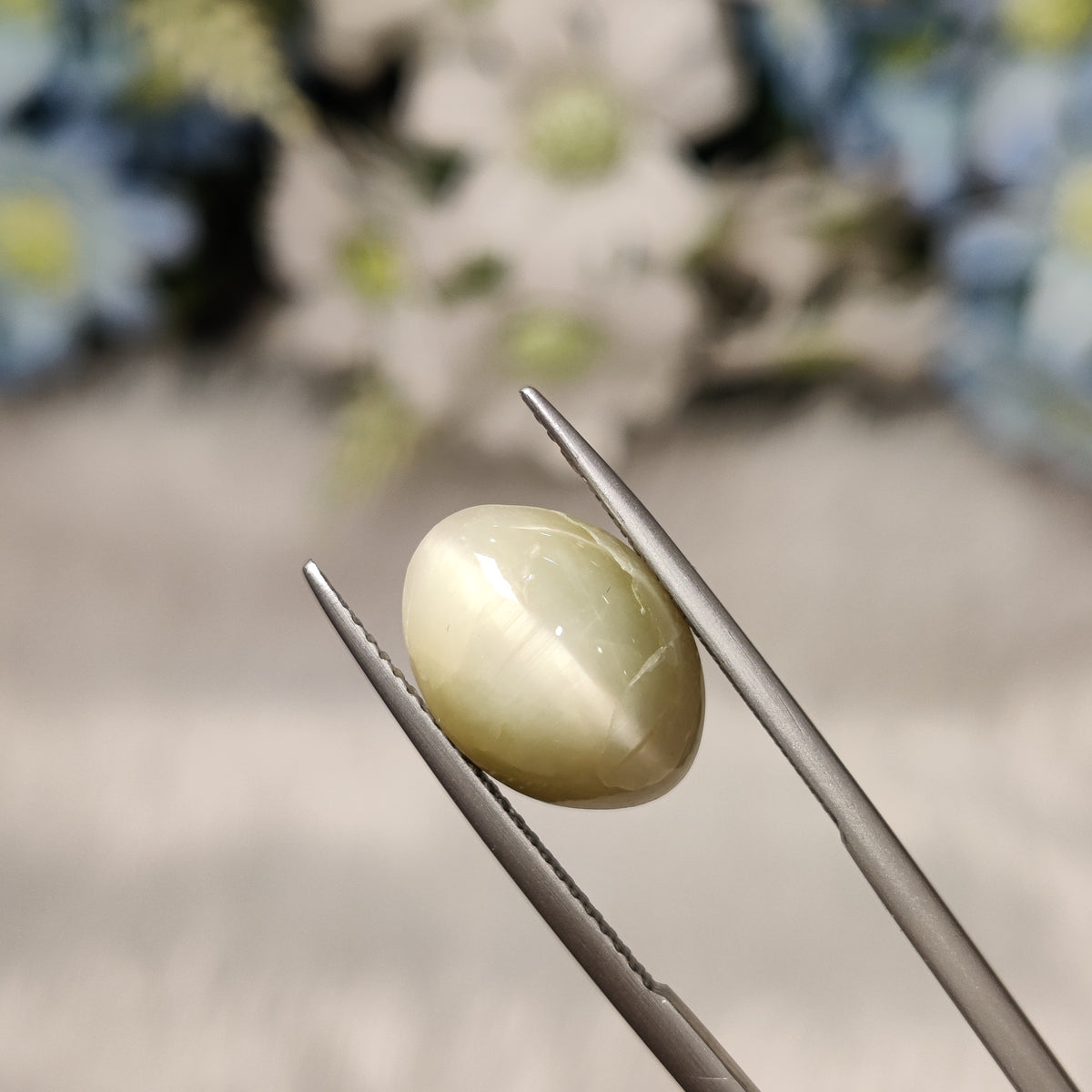 Natural Cats Eye (Lehsunia) | CE 93 | 6.73 Carat | Certified