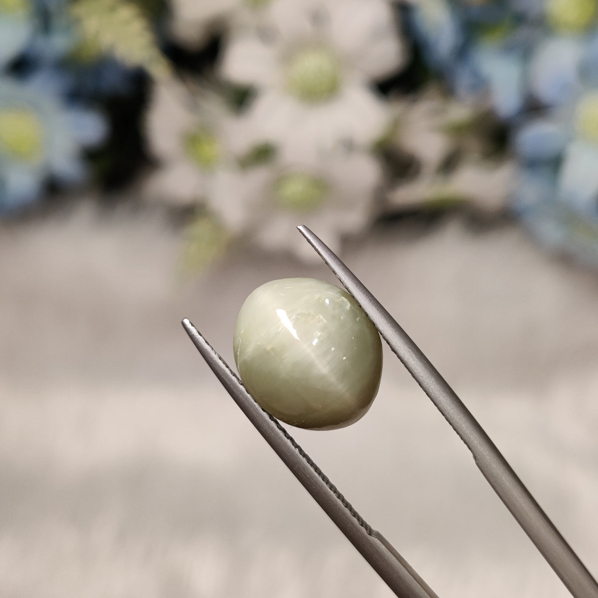 Natural Cats Eye (Lehsunia) | CE 11 | 6.2 Carat | Certified