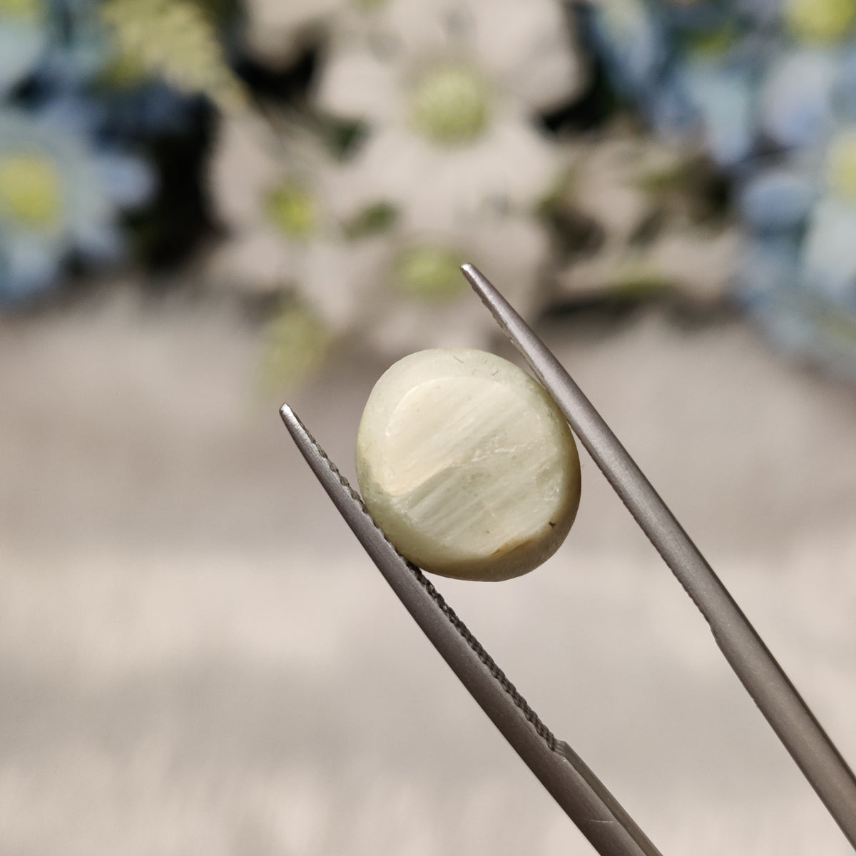 Natural Cats Eye (Lehsunia) | CE 11 | 6.2 Carat | Certified