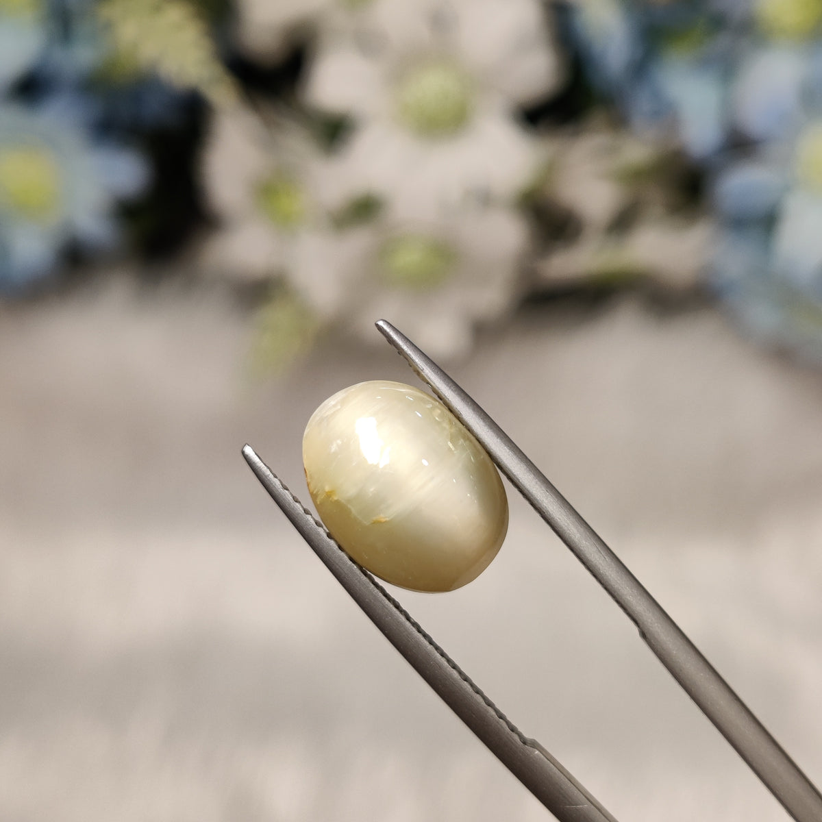 Natural Cats Eye (Lehsunia) | CE 76 | 6.31 Carat | Certified