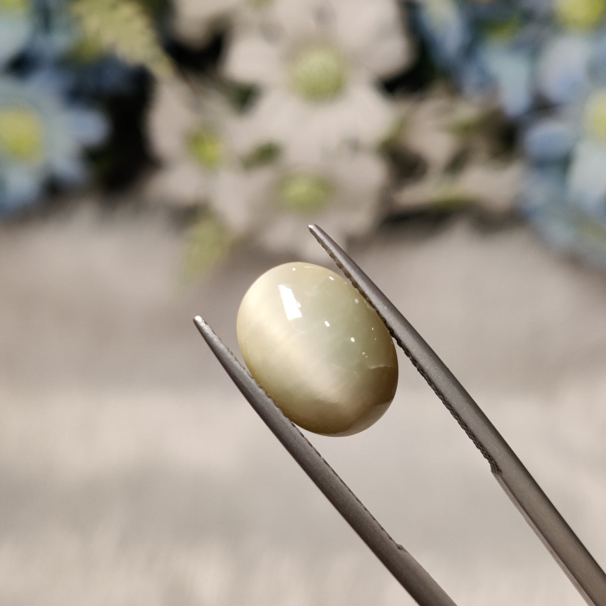 Natural Cats Eye (Lehsunia) | CE 73 | 6.43 Carat | Certified