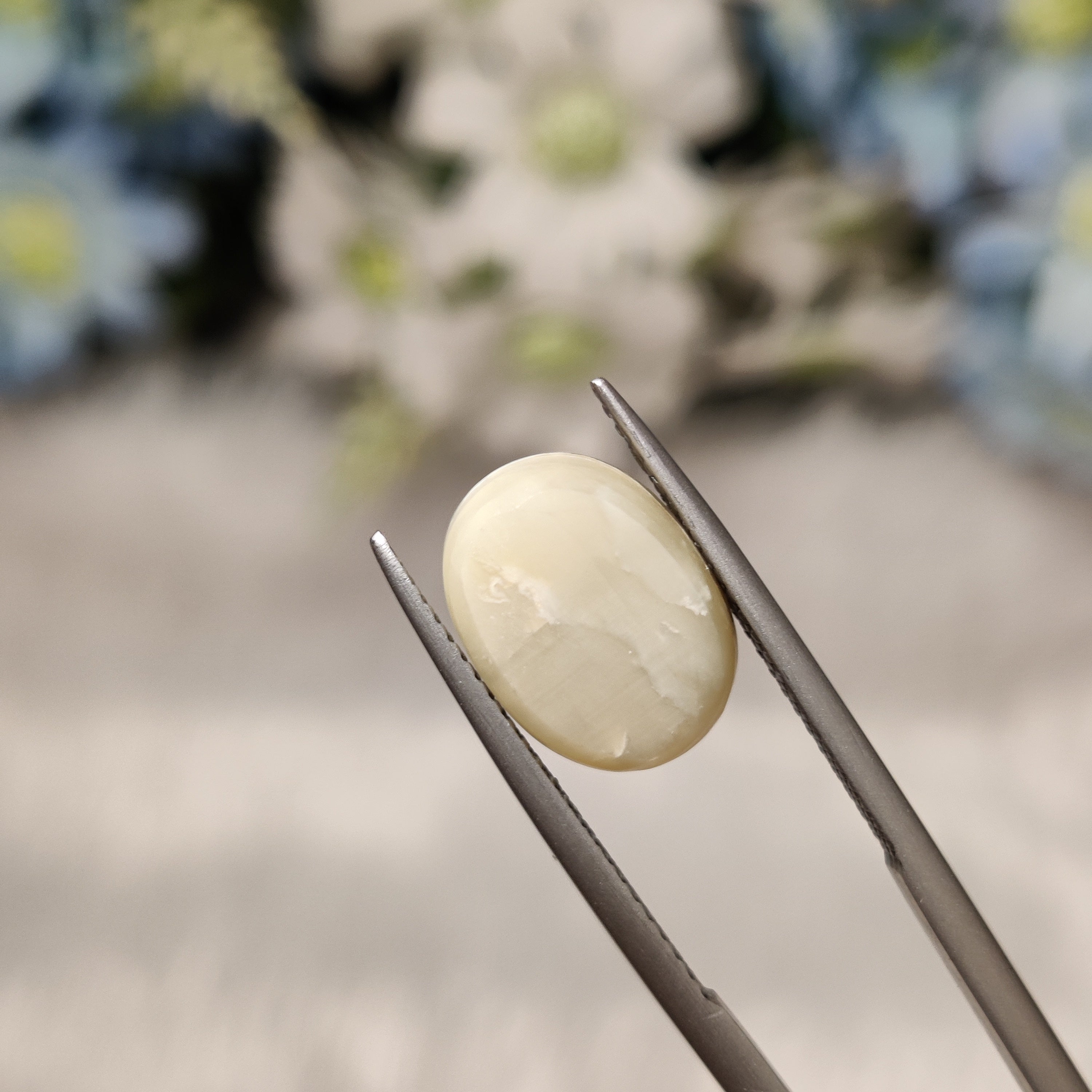 Cats Eye | CE 73 | 6.43 Carat