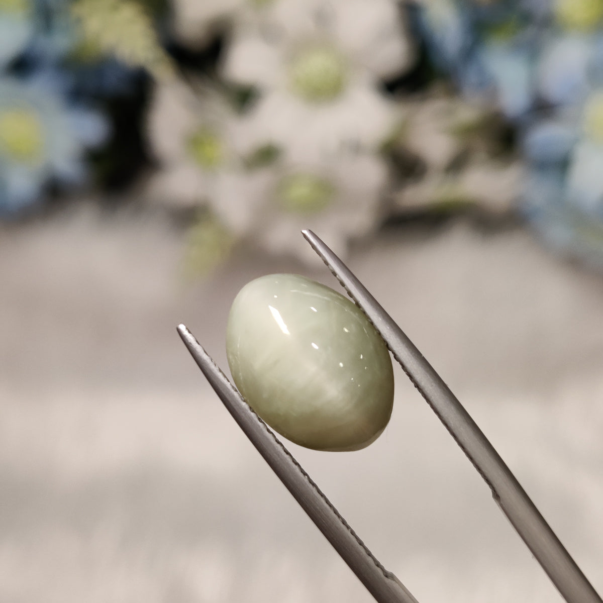Natural Cats Eye (Lehsunia) | CE 27 | 6.27 Carat | Certified