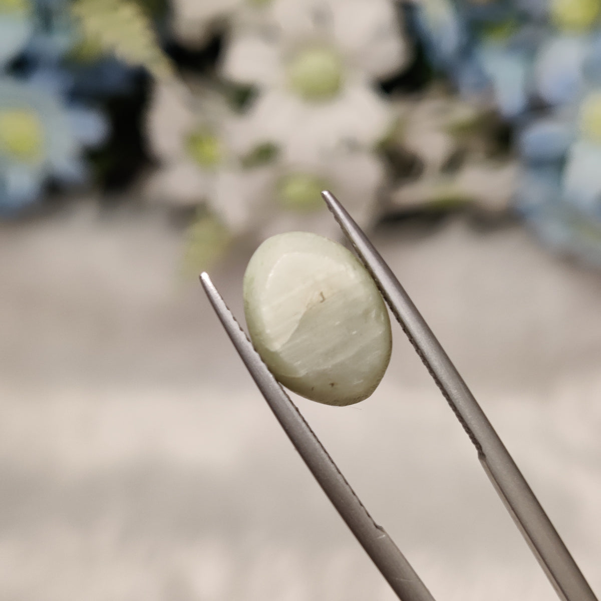 Natural Cats Eye (Lehsunia) | CE 27 | 6.27 Carat | Certified