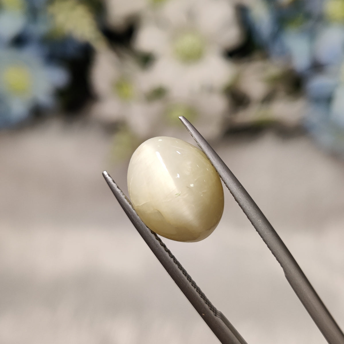 Natural Cats Eye (Lehsunia) | CE 78 | 6.7 Carat | Certified