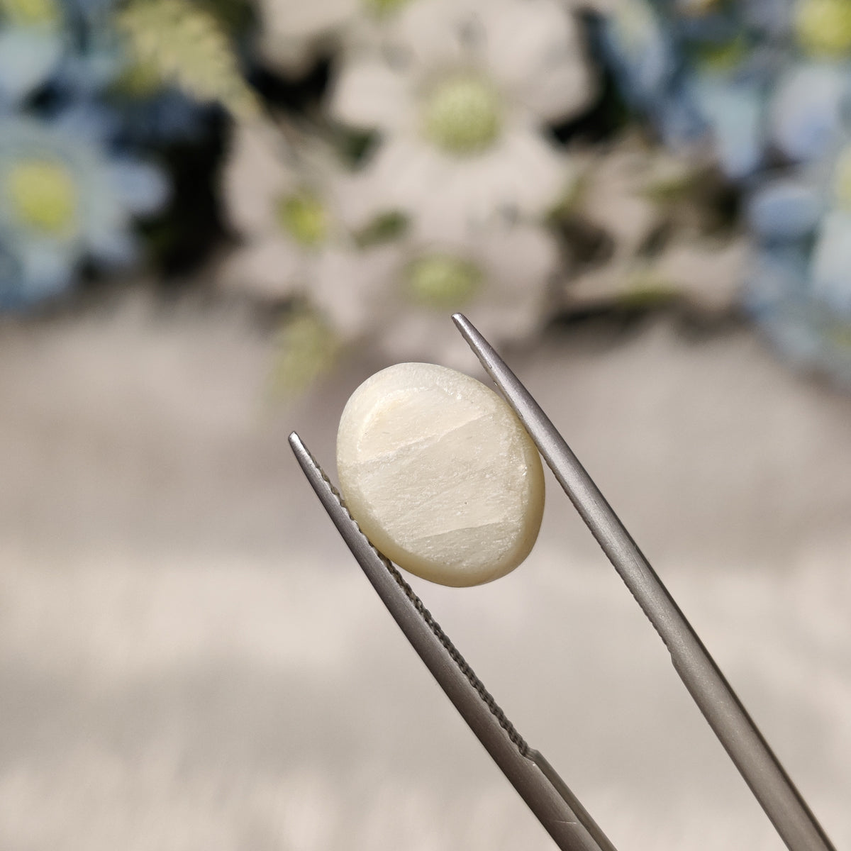 Natural Cats Eye (Lehsunia) | CE 78 | 6.7 Carat | Certified