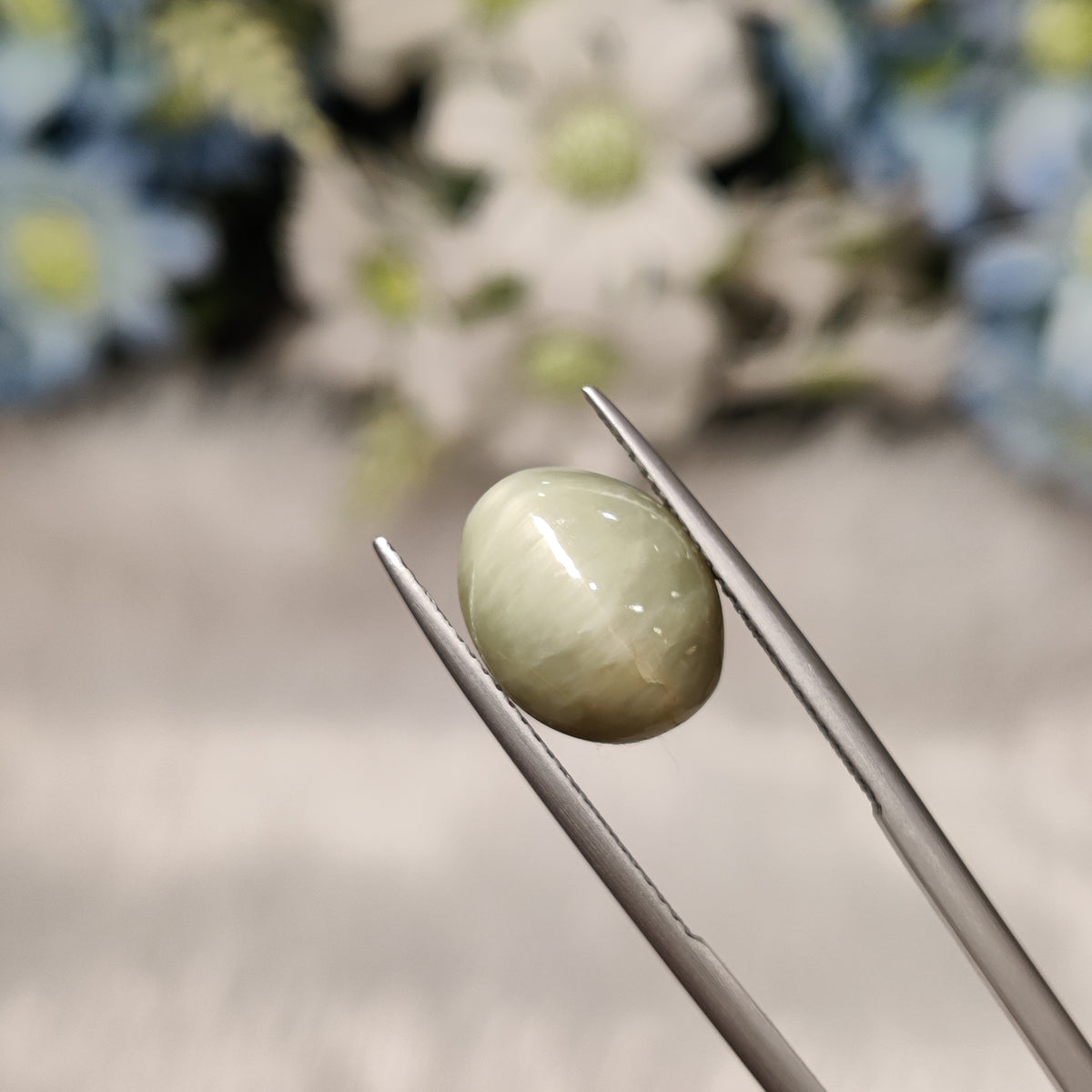 Natural Cats Eye (Lehsunia) | CE 50 | 6.65 Carat | Certified
