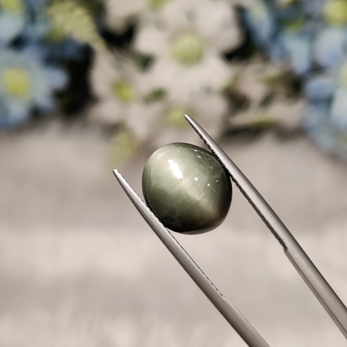 Natural Cats Eye (Lehsunia) | CE 21 | 6.95 Carat | Certified