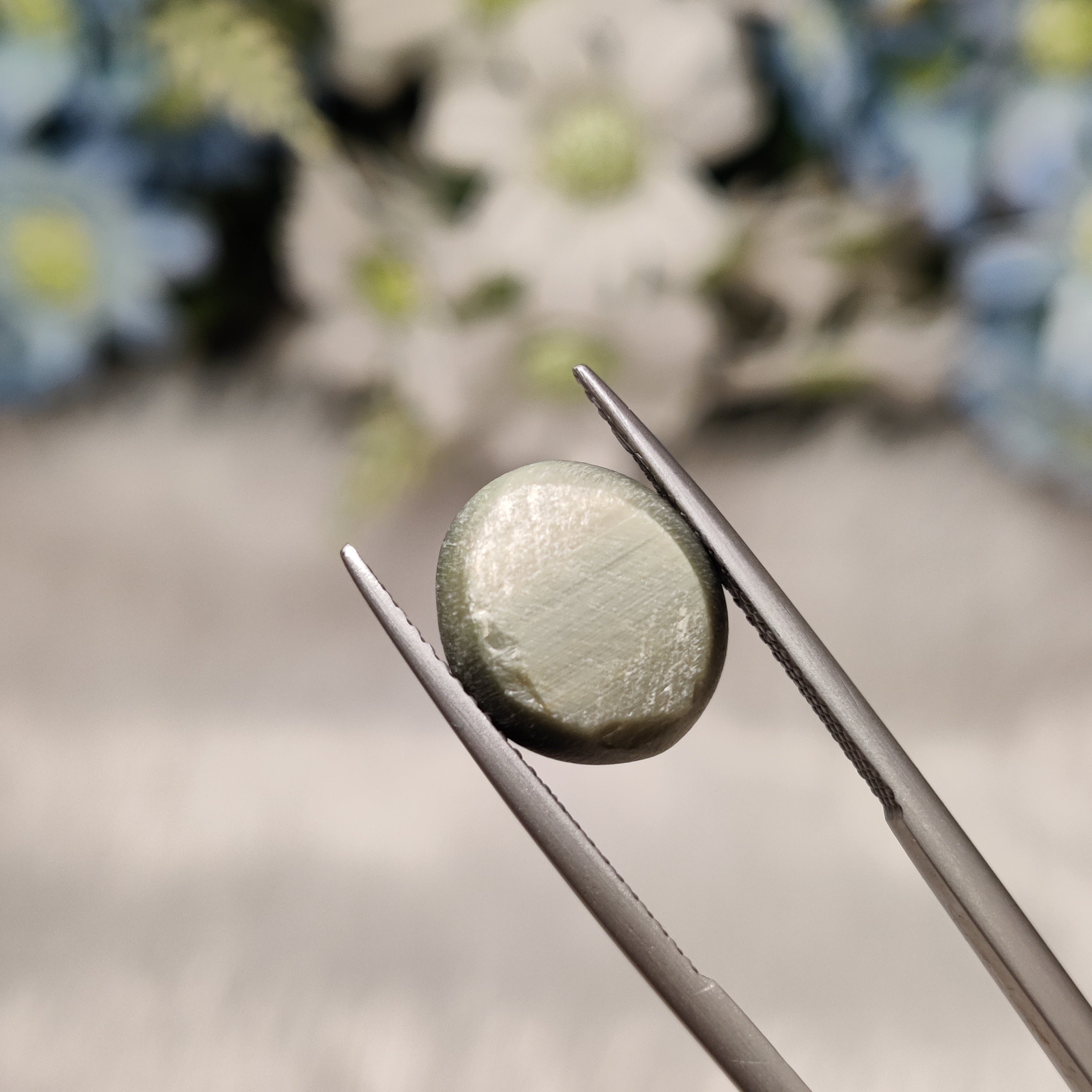 Cats Eye | CE 21 | 6.95 Carat