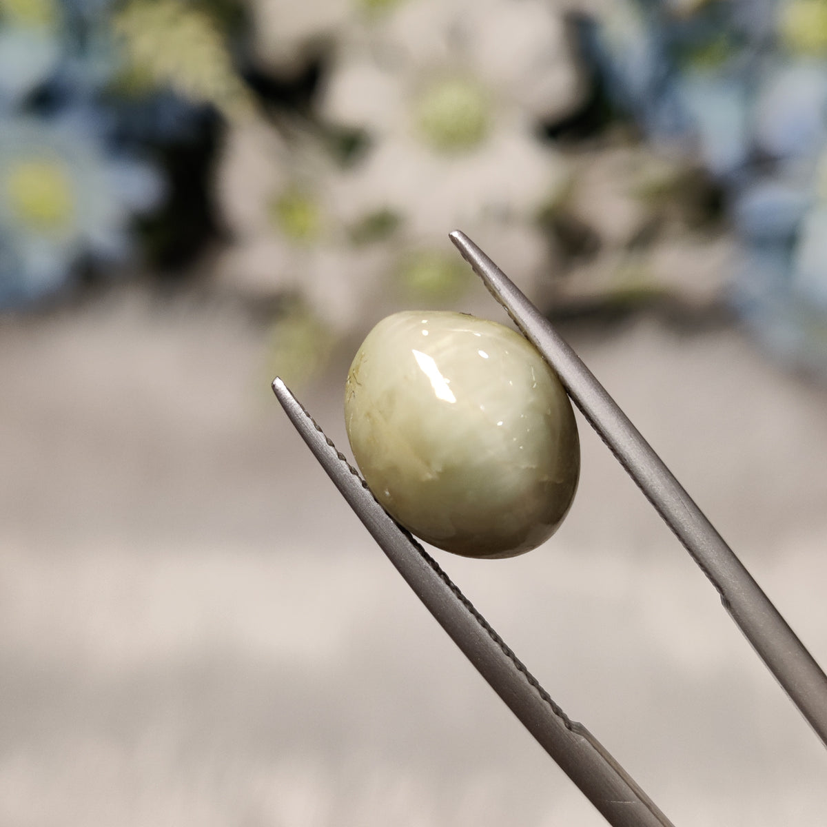 Natural Cats Eye (Lehsunia) | CE 17 | 6.99 Carat | Certified