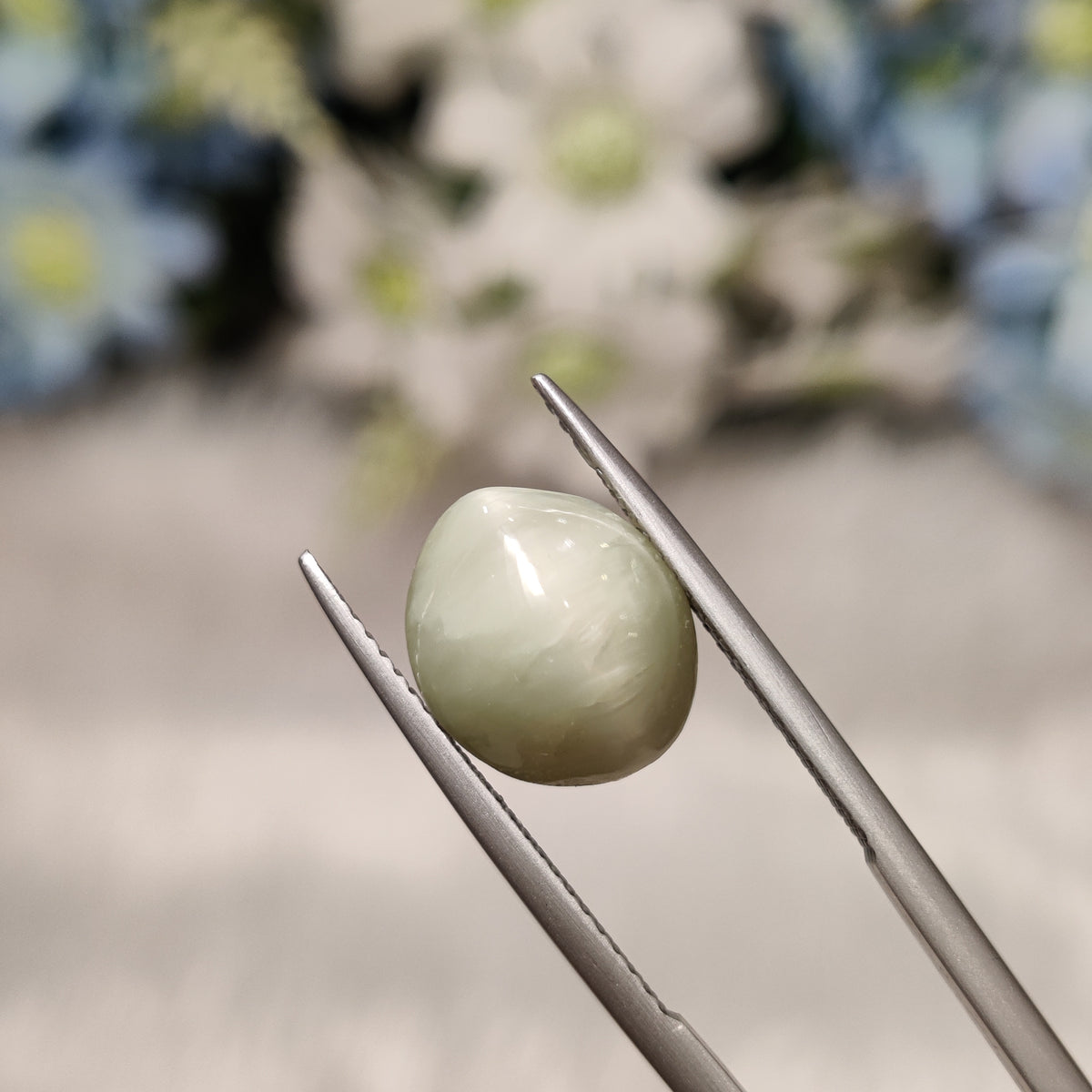 Natural Cats Eye (Lehsunia) | CE 48 | 6.43 Carat | Certified