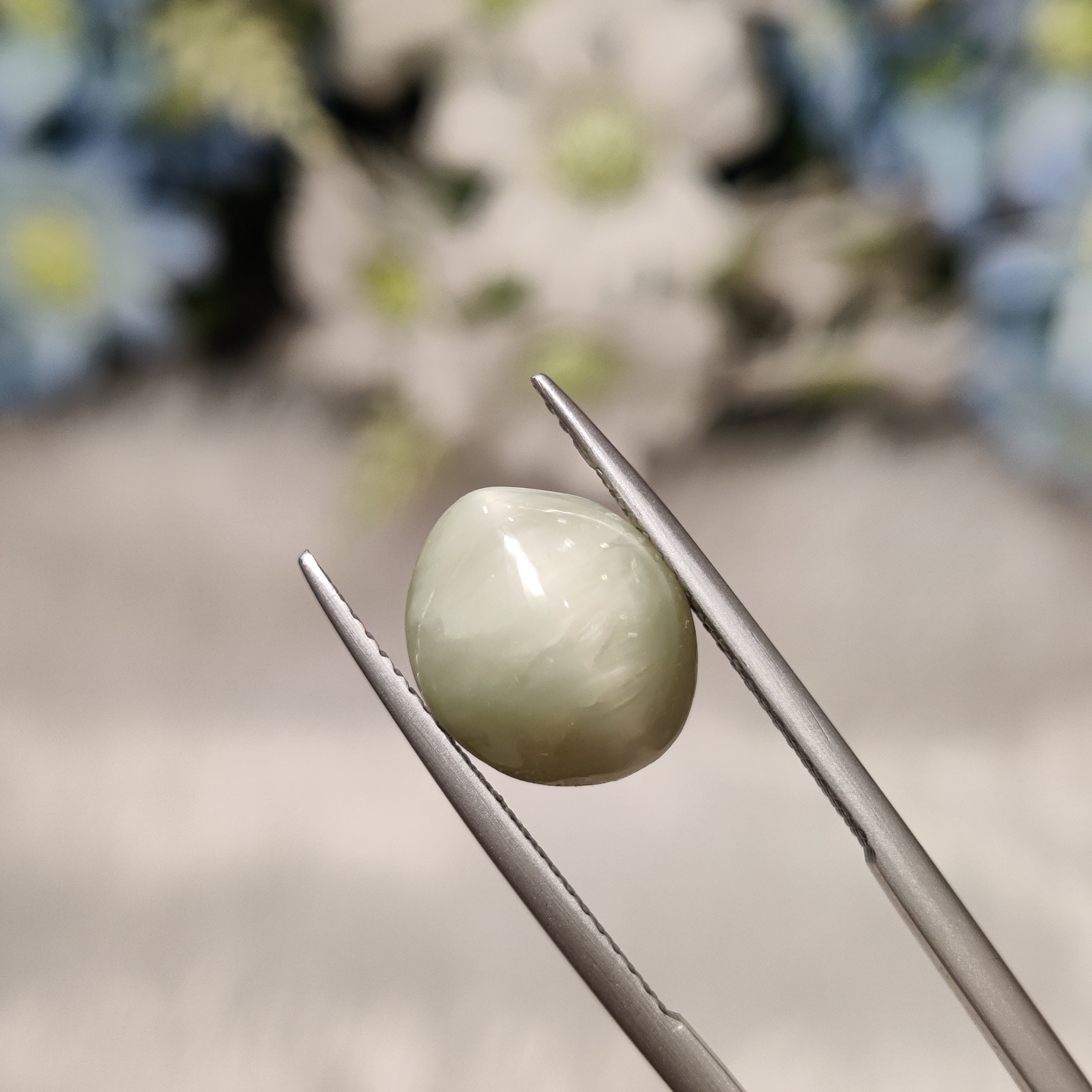 Cats Eye | CE 48 | 6.43 Carat