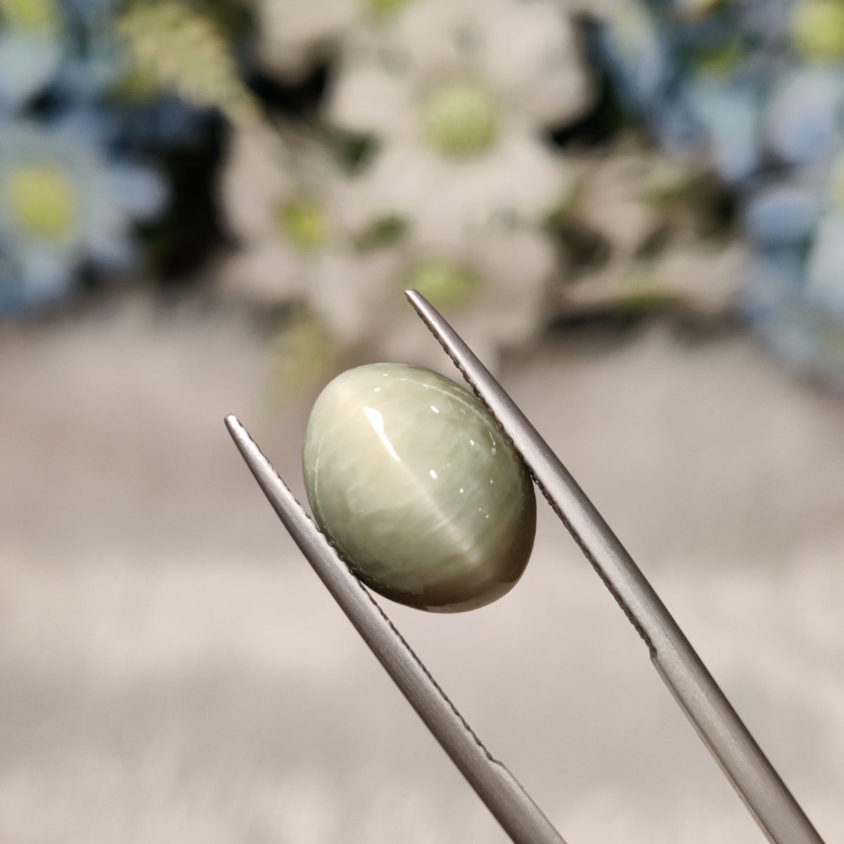 Natural Cats Eye (Lehsunia) | CE 47 | 6.62 Carat | Certified