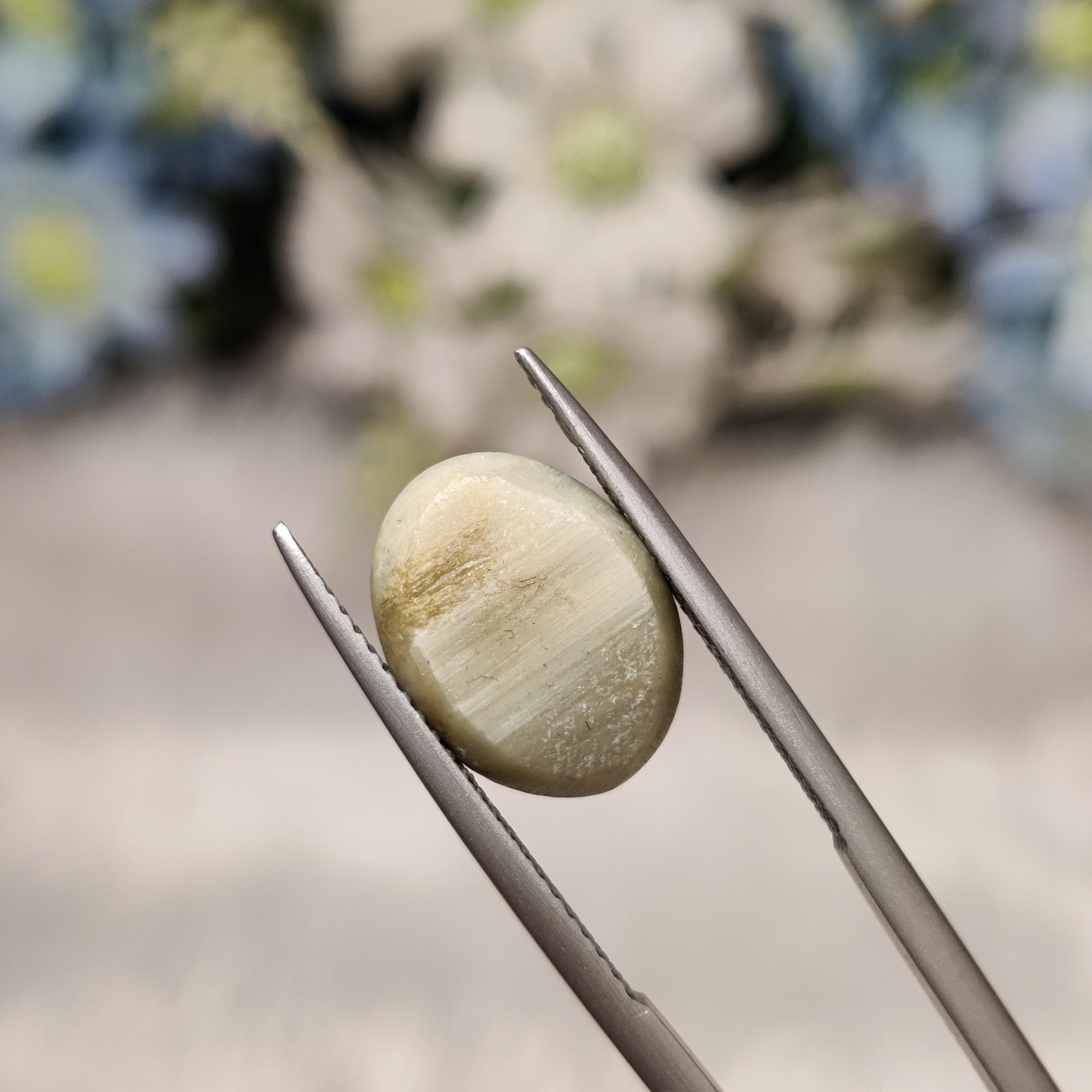 Cats Eye | CE 47 | 6.62 Carat