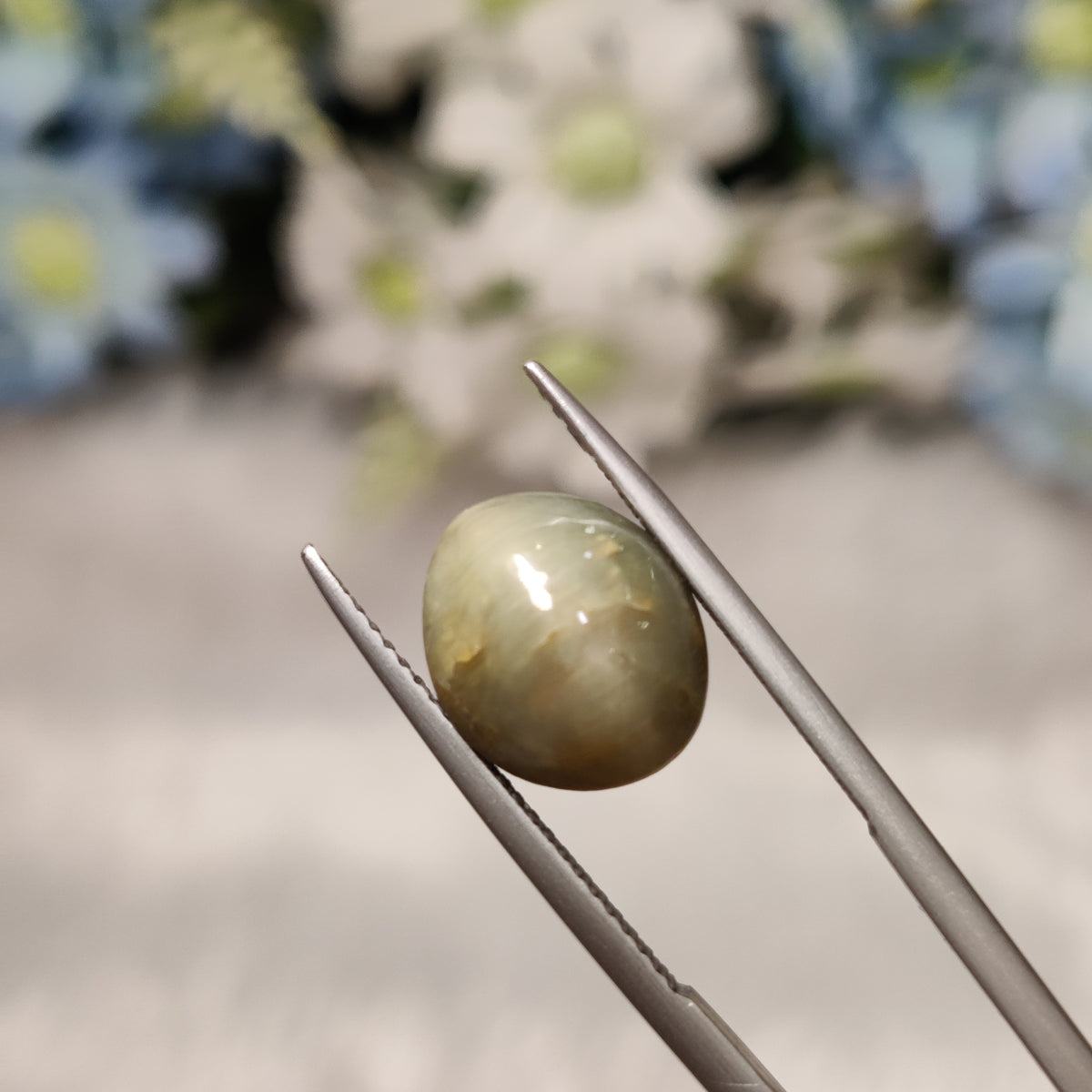 Natural Cats Eye (Lehsunia) | CE 83 | 6.13 Carat | Certified