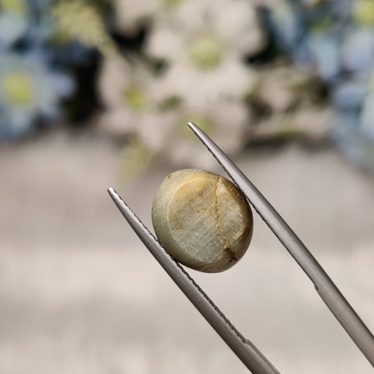 Natural Cats Eye (Lehsunia) | CE 83 | 6.13 Carat | Certified