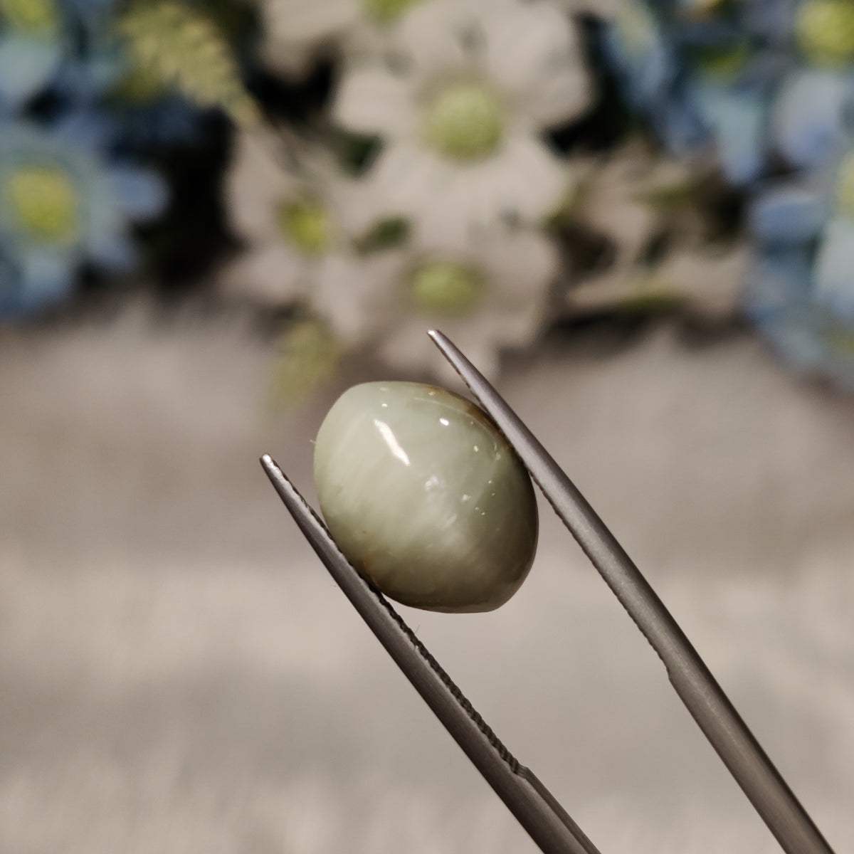 Natural Cats Eye (Lehsunia) | CE 55 | 6.76 Carat | Certified