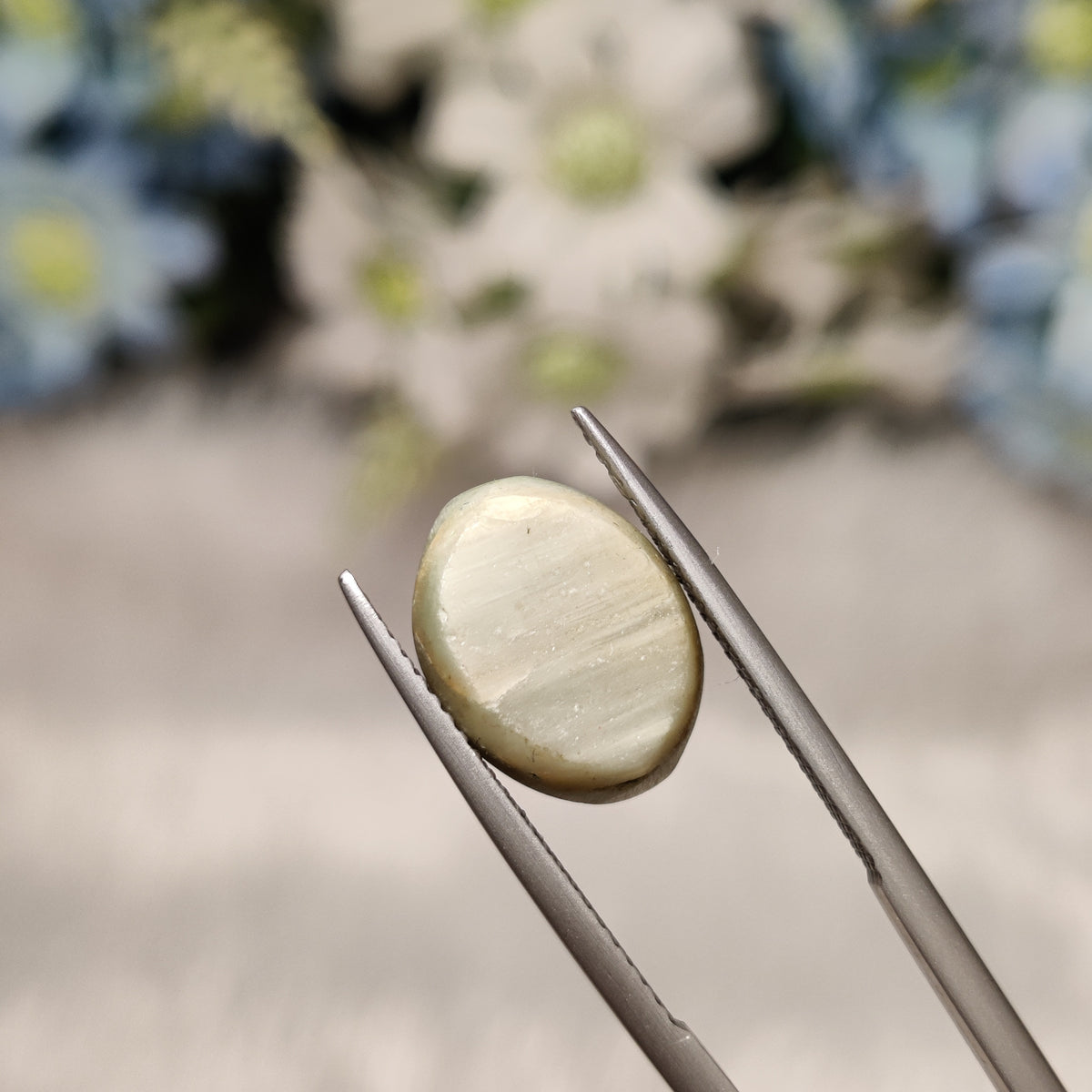 Natural Cats Eye (Lehsunia) | CE 55 | 6.76 Carat | Certified