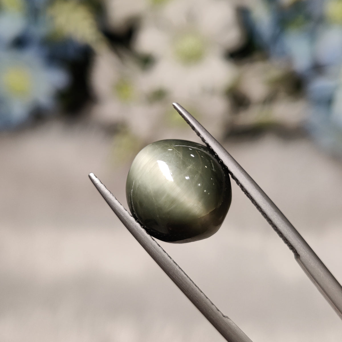 Natural Cats Eye (Lehsunia) | CE 57 | 6.28 Carat | Certified